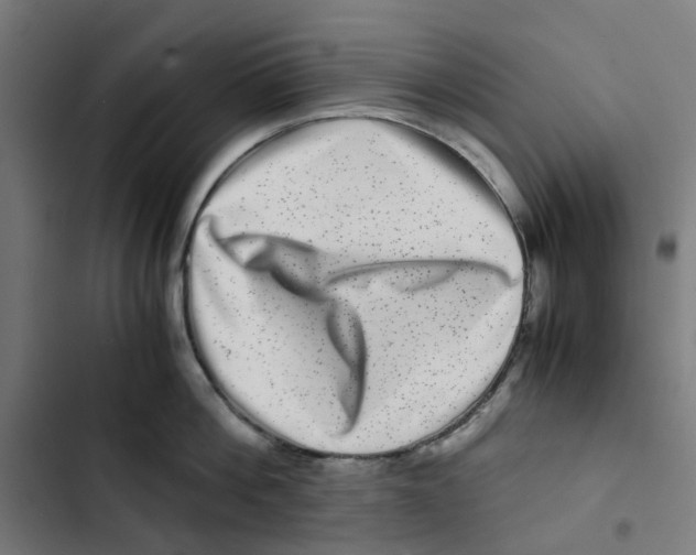X0000102510812200809051409