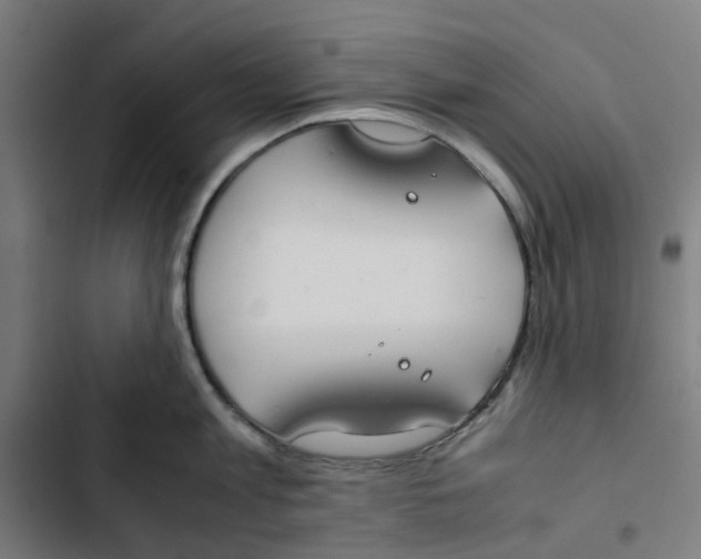 X0000102510813200809051409