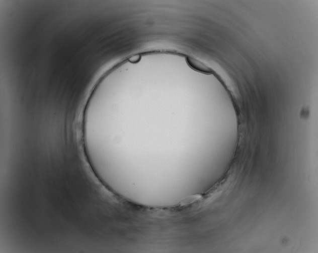 X0000102510815200809051409