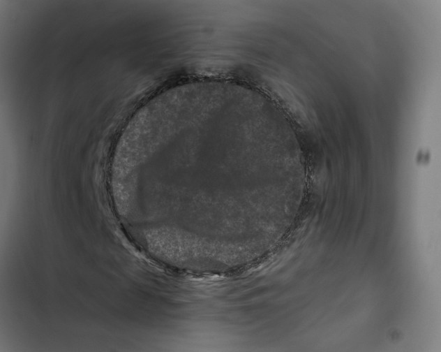 X0000102510817200809051408