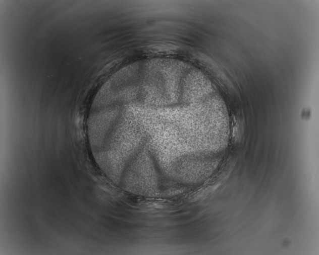 X0000102510819200809051408
