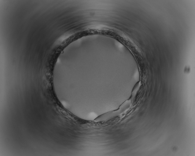 X0000102510822200809051408