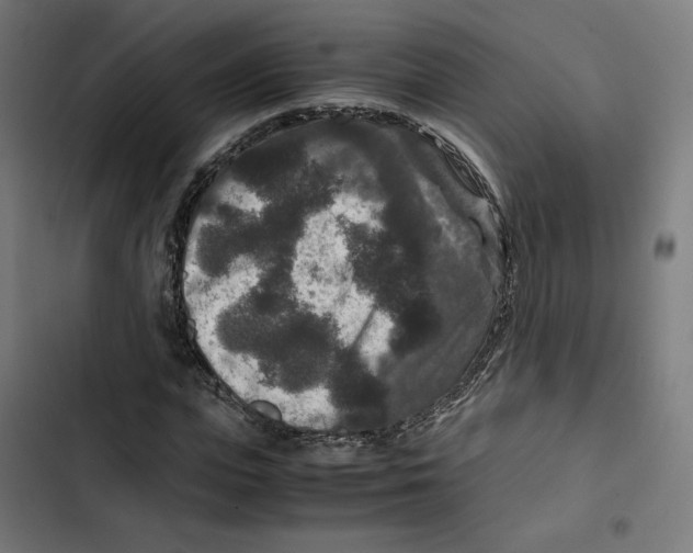 X0000102510823200809051408