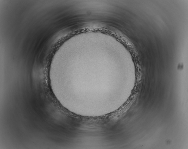 X0000102510824200809051408