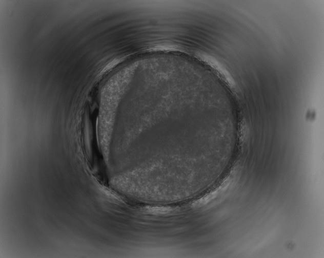 X0000102510825200809051408