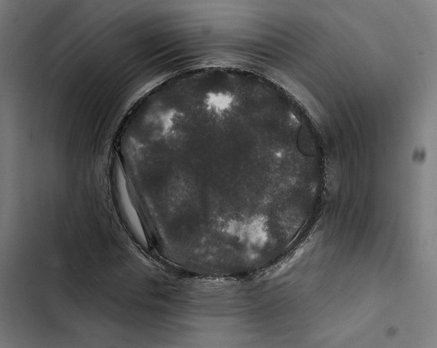 X0000102510826200809051408