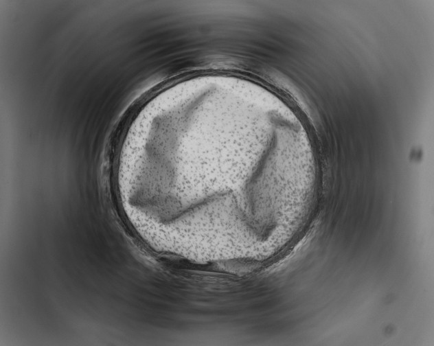 X0000102510827200809051408