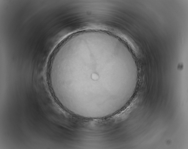 X0000102510828200809051408