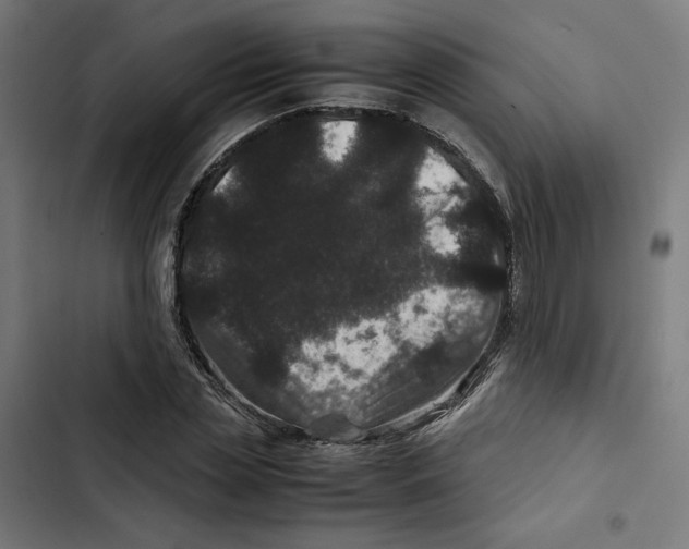 X0000102510829200809051408