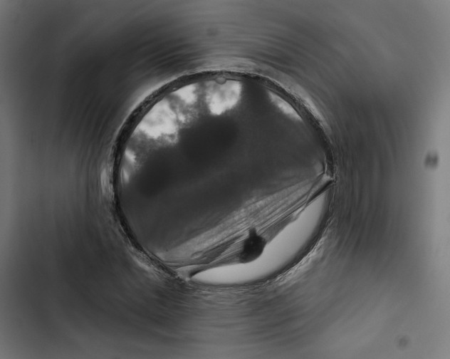X0000102510830200809051408