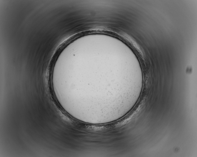 X0000102510831200809051408