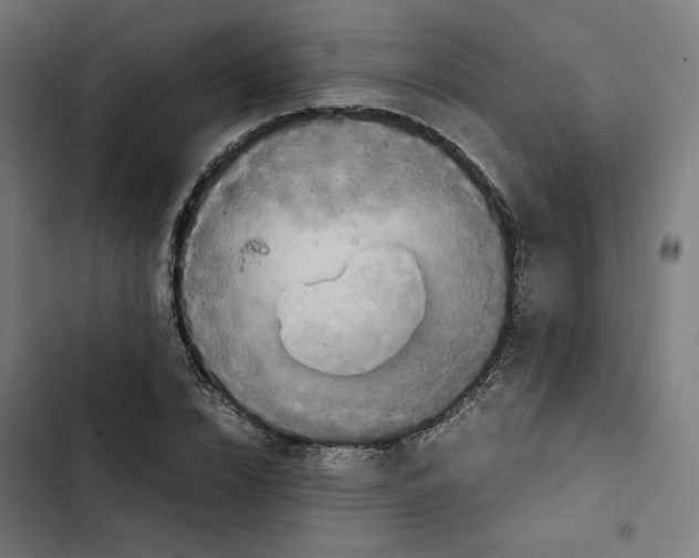 X0000102510832200809051408