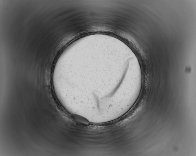 X0000102510833200809051408