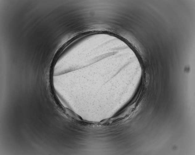 X0000102510834200809051408
