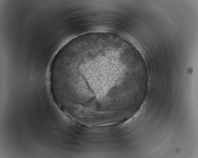 X0000102510835200809051408