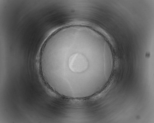 X0000102510836200809051408
