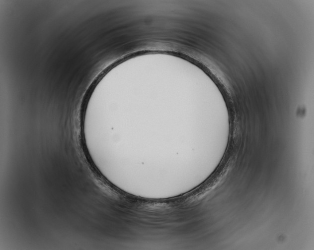 X0000102510837200809051408
