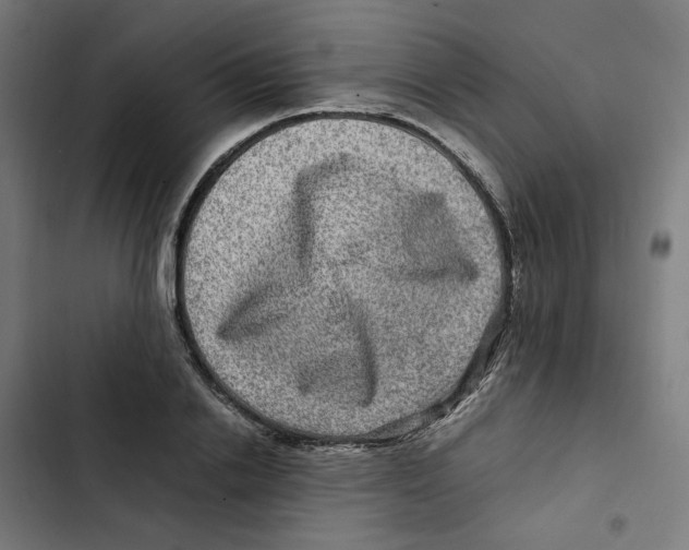 X0000102510838200809051408