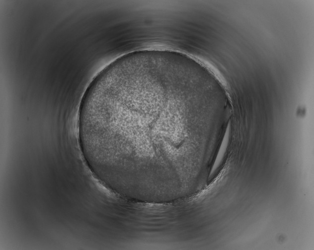 X0000102510839200809051408