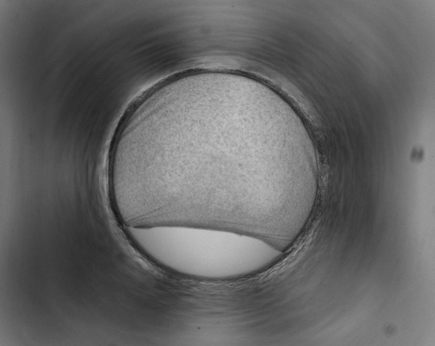 X0000102510840200809051408