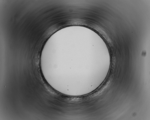X0000102510841200809051408