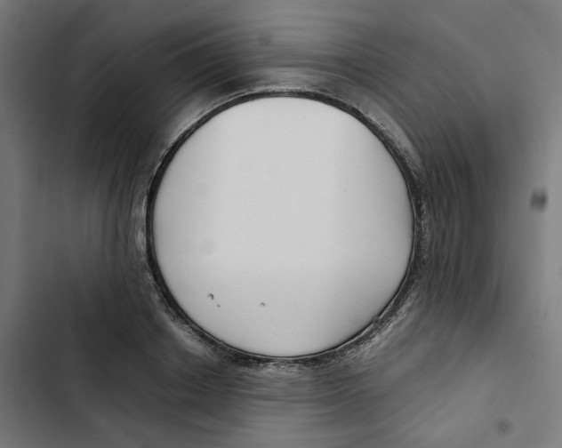 X0000102510842200809051408