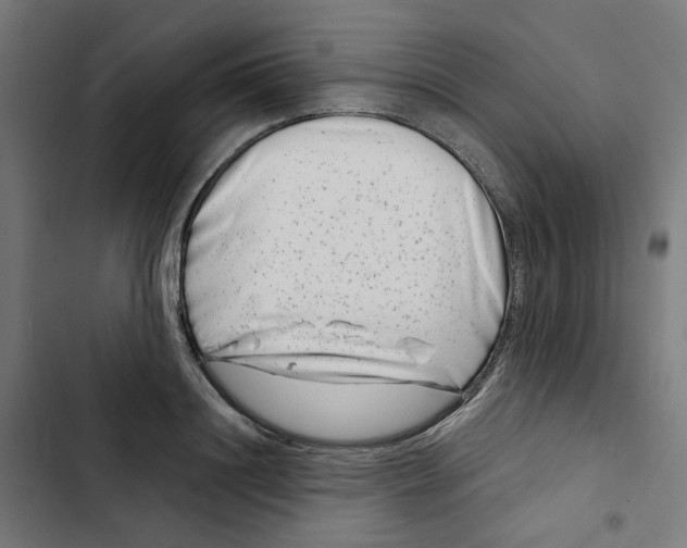 X0000102510844200809051408