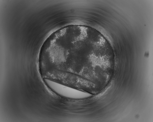X0000102510845200809051408