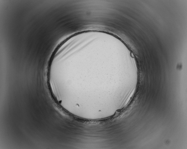 X0000102510846200809051408