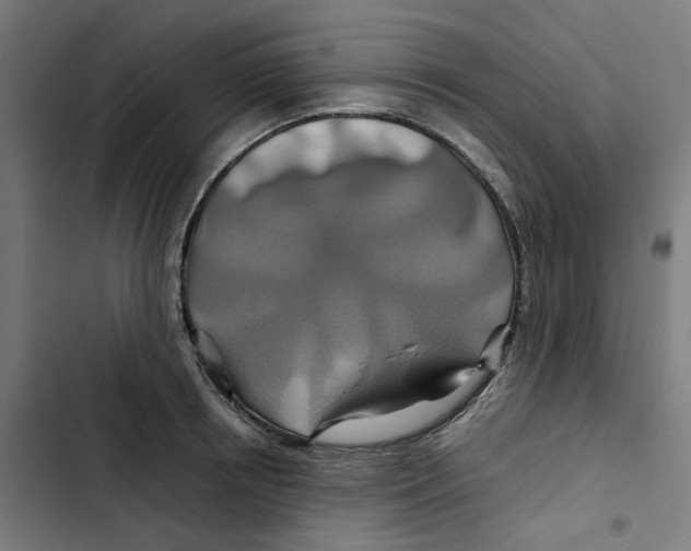 X0000102510850200809051408