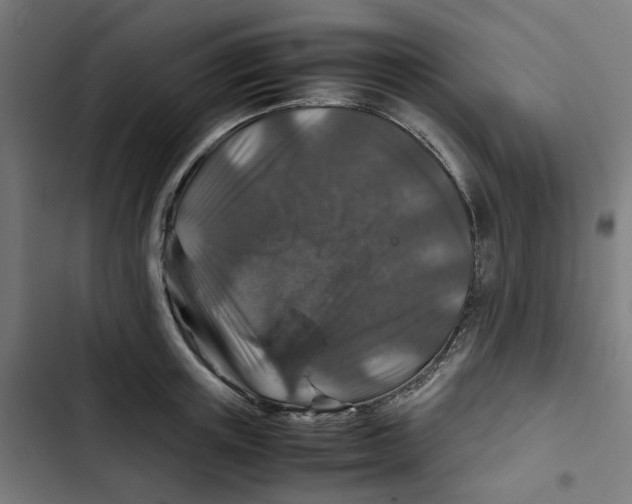 X0000102510851200809051408