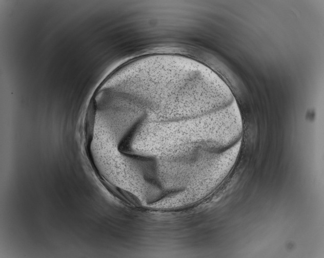 X0000102510852200809051408
