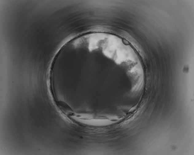 X0000102510853200809051408