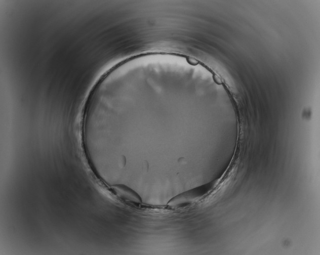 X0000102510854200809051408