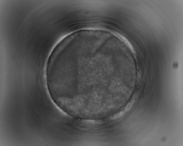 X0000102510855200809051408