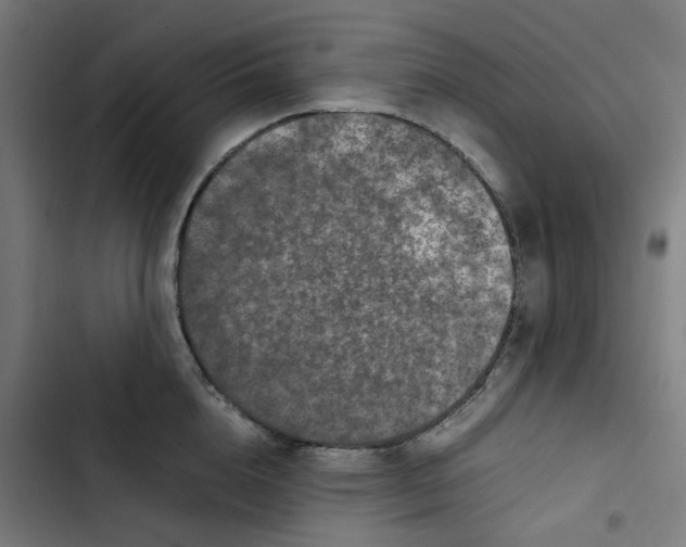 X0000102510856200809051408