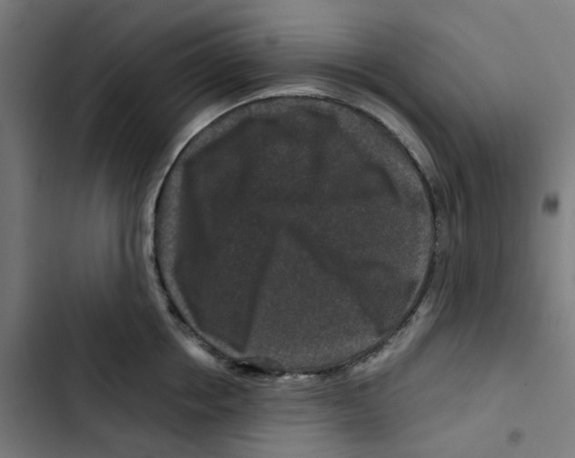 X0000102510858200809051408