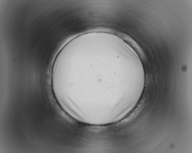 X0000102510860200809051409