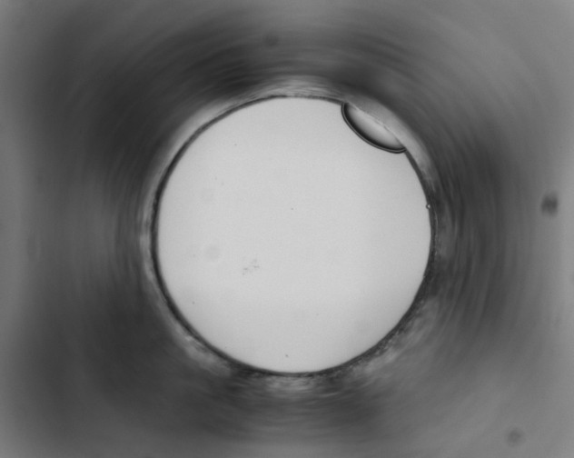 X0000102510861200809051409