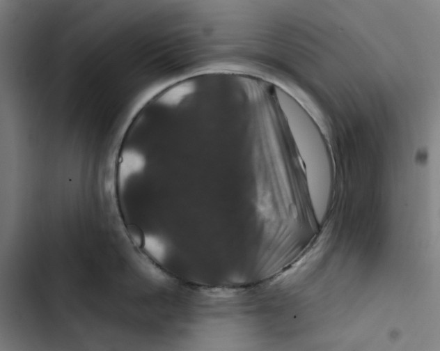 X0000102510862200809051409