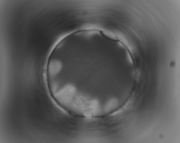 X0000102510863200809051409