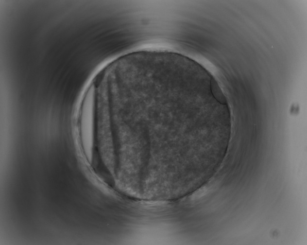 X0000102510864200809051409