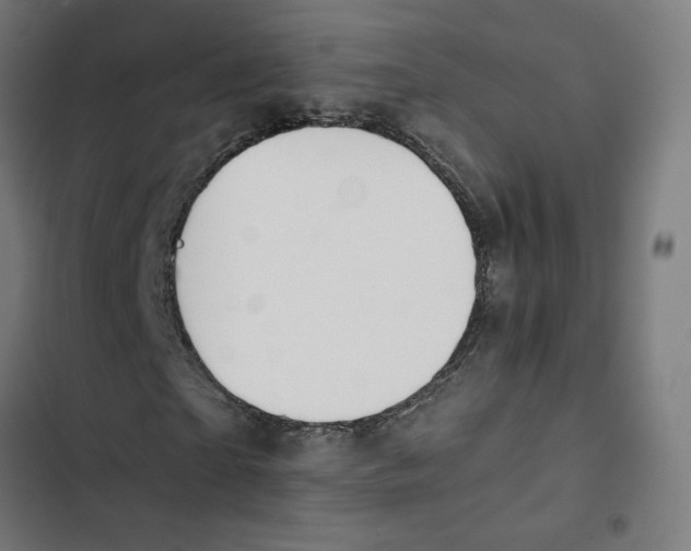 X0000102510865200809051408