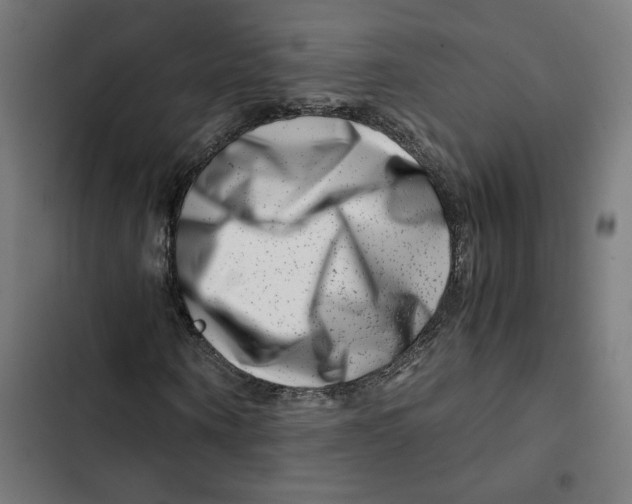 X0000102510866200809051408