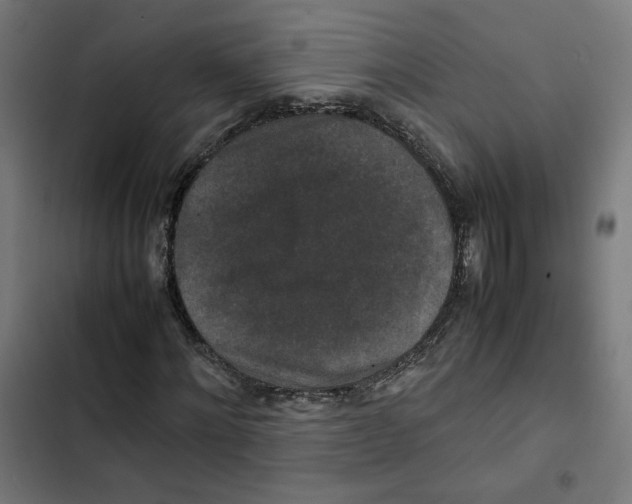 X0000102510868200809051408