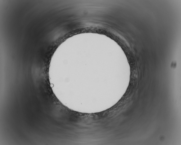 X0000102510869200809051408