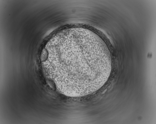 X0000102510871200809051408