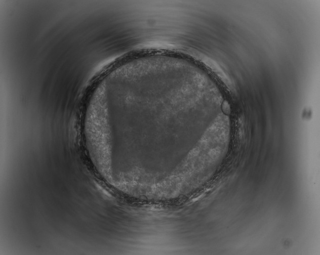 X0000102510872200809051408