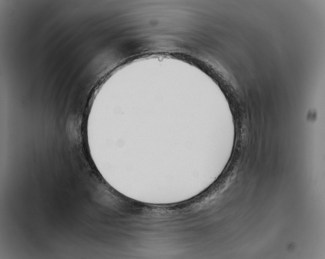 X0000102510873200809051408