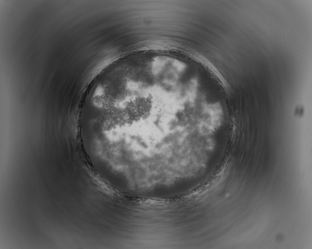 X0000102510874200809051408
